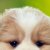 Ir a su p�gina Dorbit