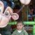 Ir a su p�gina Dorbit